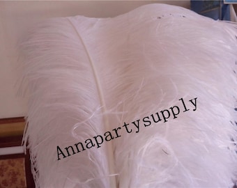 May include: A bunch of white ostrich feathers. The feathers are soft and fluffy, and they are perfect for crafts or decorations.