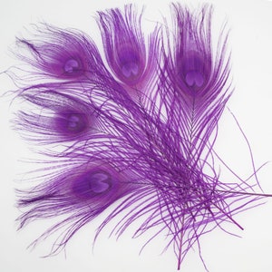 100 pcs 10-12inch purple peacock feather peacock tail feather