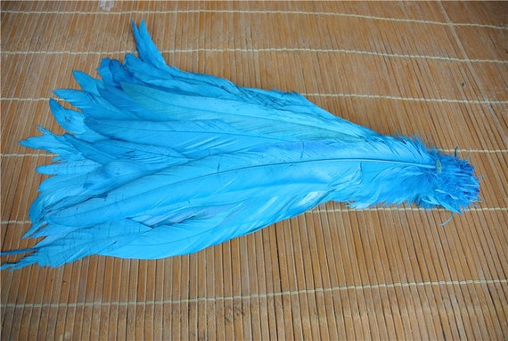 KOLIGHT Frangia Di Piume Di Gallo Naturali Per Decorazioni Fai Da Te – 5 Metri, Larghezza 10-15 Cm, Colore Azzurro Cielo