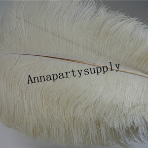 100 pcs ivory cream ostrich feather plume for wedding party supply wedding centerpiece