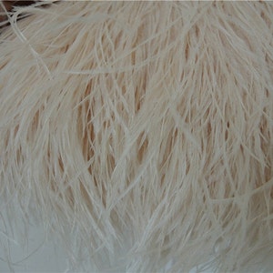 May include: Close-up of a bundle of light beige feathers. The feathers are soft and fluffy, with a delicate texture. The image shows the natural variation in color and texture of the feathers, creating a visually appealing display. Ideal for craft projects.