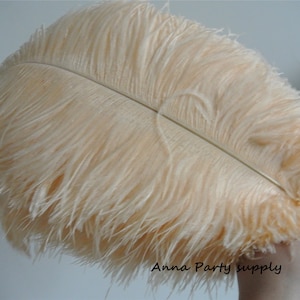 100 pcs champagne ostrich feather plume 5-24inches for wedding party supply wedding centerpiece
