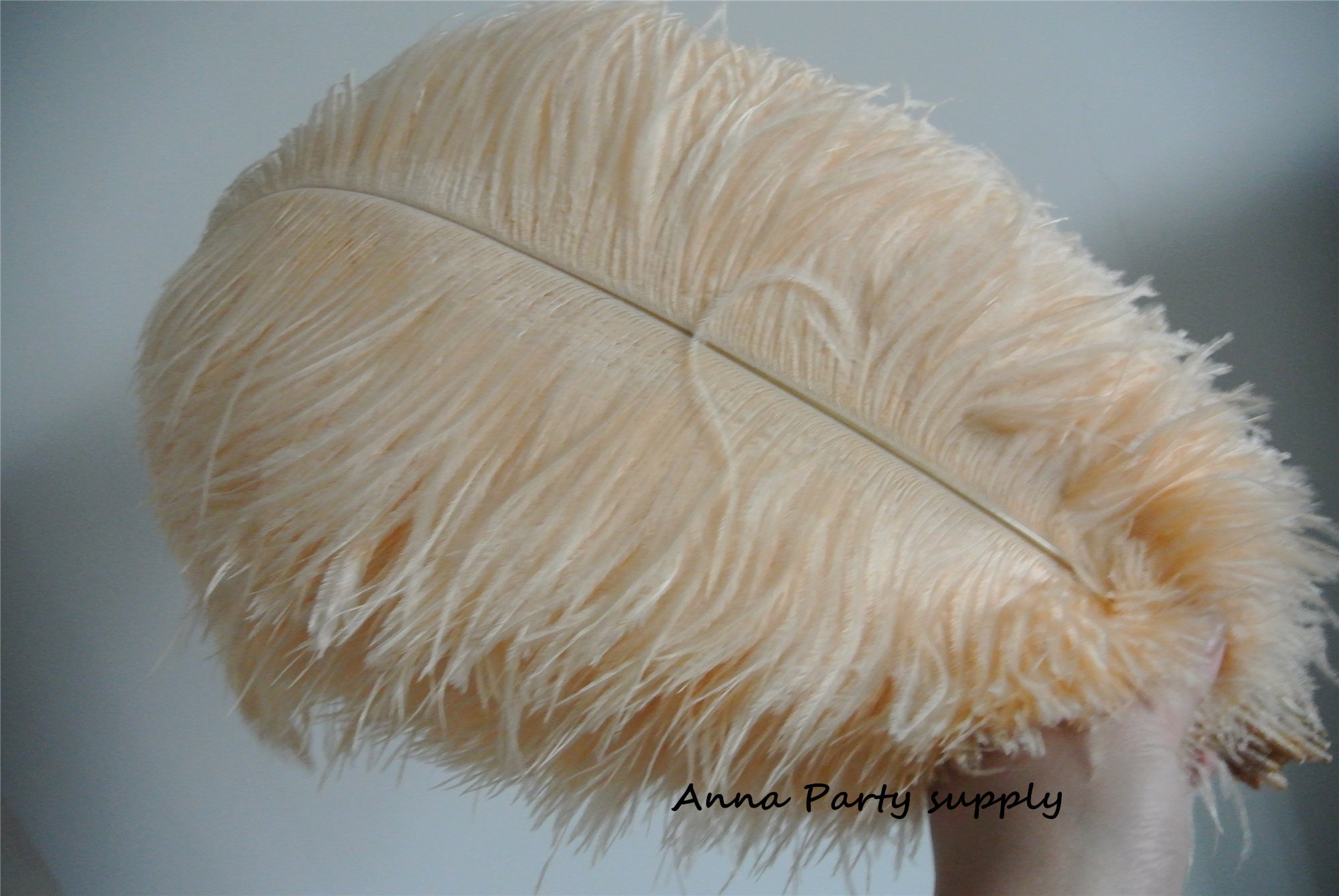 1/2 Lb. - 19-24 Off White Ostrich Extra Long Drab Wholesale Feathers (Bulk)