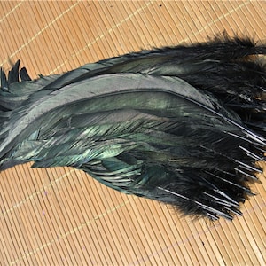 100 pcs black 12-14inch rooster feather loose cock feather loose for supply decor costume supply image 2