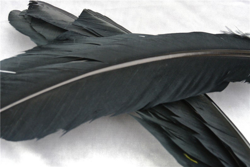 100 pcs 1214inch black Turkey Feathers Turkey Round Quill Etsy