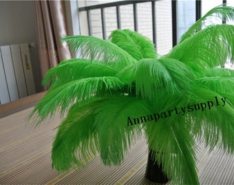 24 Piume Di Struzzo Verde Lime 25-30 Cm - Naturali E Morbide Per Centrotavola Matrimonio, Decorazioni Fai Da Te E Vaso