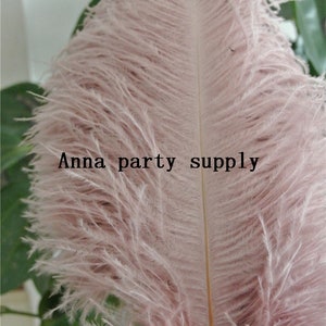 Bulk Hair Feathers Pink Shades Long Feather Extensions Ballerina Pink  Pastel Bubblegum Pink Feathers With Stripes Wholesale Hackle 25PCS 