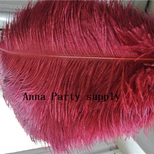 May include: A large, deep burgundy ostrich feather with a central quill and soft, wispy barbs extending outwards. The text Anna Party supply is printed in black across the centre of the feather, which is held against a light background.