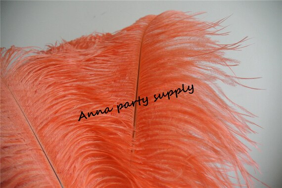 100 Pcs Coral Ostrich Feather Plume for Wedding Party Supply Wedding Centerpiece Etsy Ireland