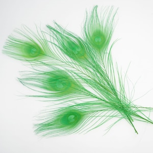 100 pcs 10-12inch kelly green peacock feather peacock tail feather