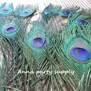 20 pcs 10-12inch peacock feather peacock tail feather