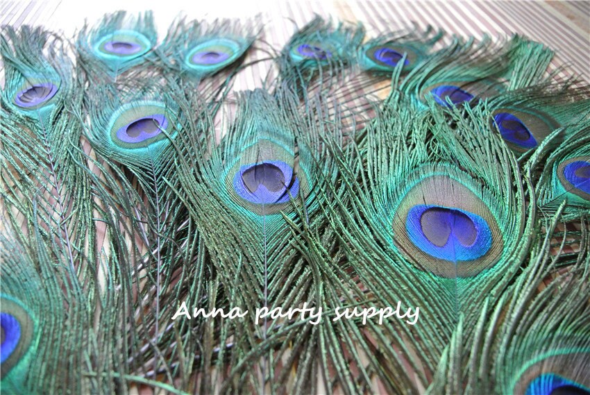 匿名発送　装飾用の羽根 孔雀の羽 23-33cm 10本 即日☆孔雀の羽根短 ⁄FU001191 - 花材通販はなどんやアソシエ