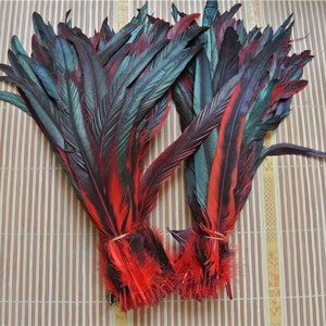 May include: A bunch of red and green feathers tied together with a rubber band. The feathers are long and have a natural, slightly iridescent sheen.