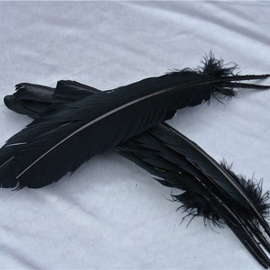 May include: A bunch of black feathers with a white stripe down the center. The feathers are arranged in a criss-cross pattern.