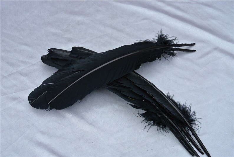 100 pcs 1214inch black Turkey Feathers Turkey Round Quill Etsy
