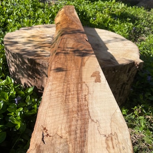 Rare English Walnut Live Edge Mantle/shelf/Rustic Look/Solid Wood Shelf