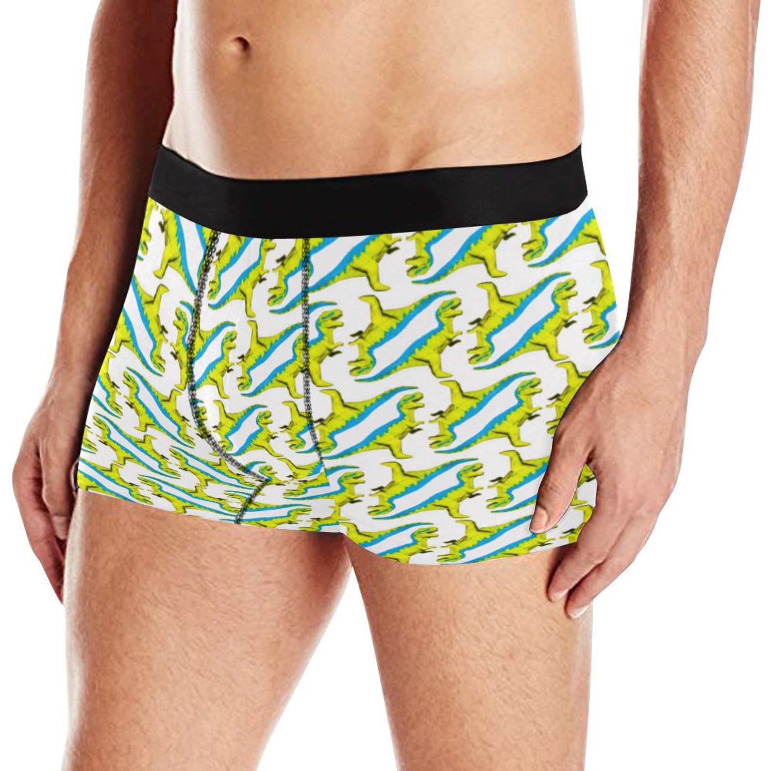 Men's Rexy Dinosaur Print Boxer Briefs TRex Dino Etsy