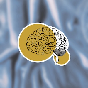 Brain Sticker | Mustard Yellow | Laptop Sticker | Water bottle Sticker | Waterproof Glossy Sticker