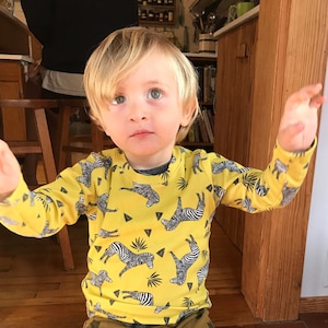 Organic baby t shirt zebra or ANY PRINT in shop, long sleeved t-shirt 9 mos-6T, girl top, boy shirt, toddler t-shirt, baby gift, unisex