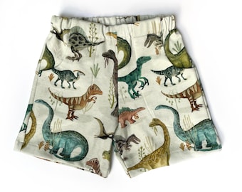 Organic cotton toddler shorts with pockets, colorful dinosaurs.  Stegosaurus, brontosaurus,   triceratops,  sizes 2T - 6, unisex gift