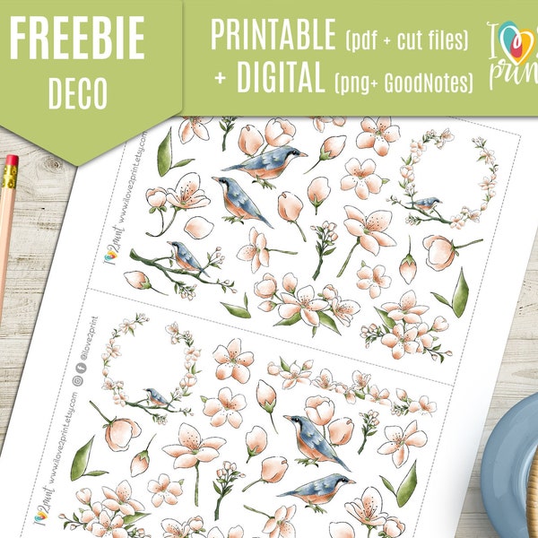 GRATIS Spring Time Deco Planner Stickers, Lente Vogels Afdrukbare Stickers, Decoratieve Stickers, Journal, Bujo, Hobonichi - CUT FILES