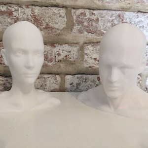 Menschliches Gesicht, männliche und weibliche Künstlerskulptur, 3D gedruckter Modellkopf, Künstlerkopf