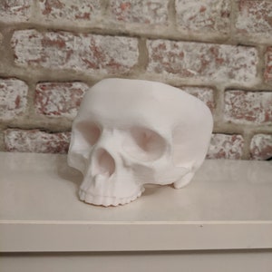 Schädel Schale, 3D gedruckt Schale, Cosplay Zubehör, Halloween-Dekoration