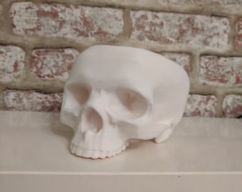 Skull Bowl, ciotola stampata in 3D, accessorio Cosplay, decorazione di Halloween