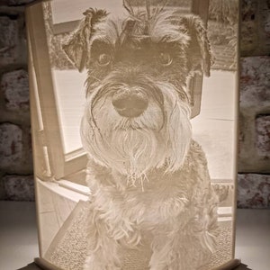Personalised pet Lithophane print, 3D printed desk picture lamp,