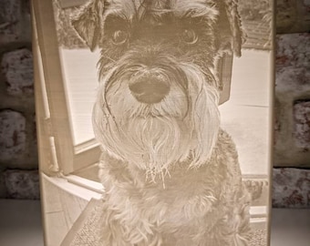 Personalised pet Lithophane print, 3D printed desk picture lamp,