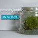 see more listings in the In Vitro section