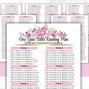 May include: A pink and white printable Bible reading plan with floral accents. The plan includes a daily reading schedule for the Old and New Testaments, organized by week. The text includes the book and chapter numbers for each day's reading.