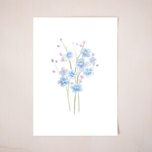 Forget me not Watercolour art print / Eco friendly art print / Botanical illustration