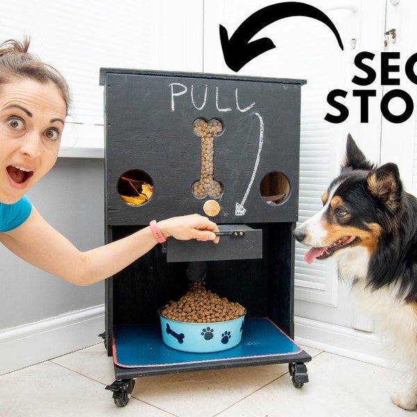 PLANS: DIY Dog Food Dispenser Portion Feeding Station | Biscuits/Kibble | Can Rack, Treat Compartments | Woodworking/Cut List (Digital File)