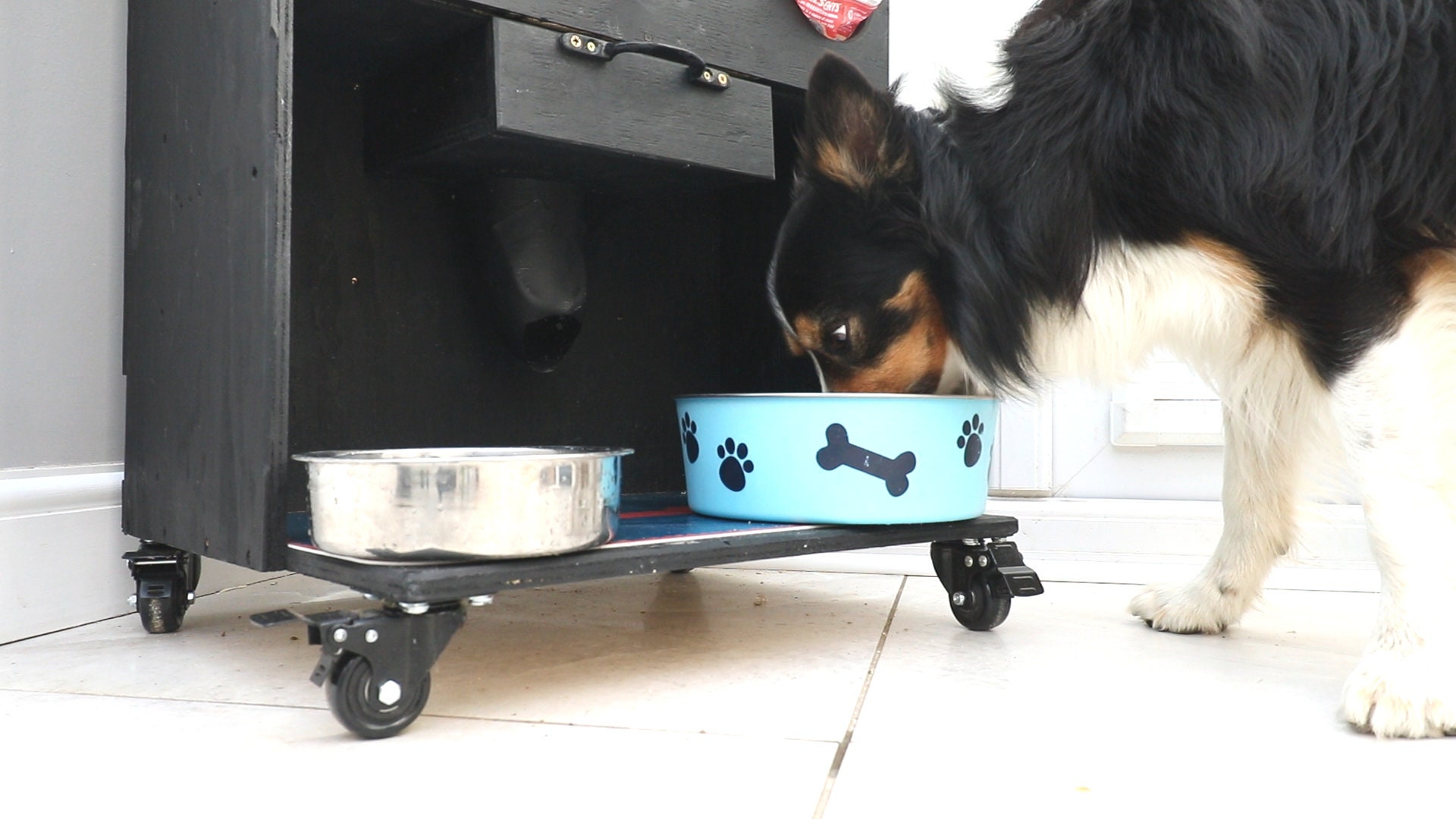 PLANS DIY Dog Food Dispenser Portion Feeding Station Biscuits/kibble Can Rack, Treat