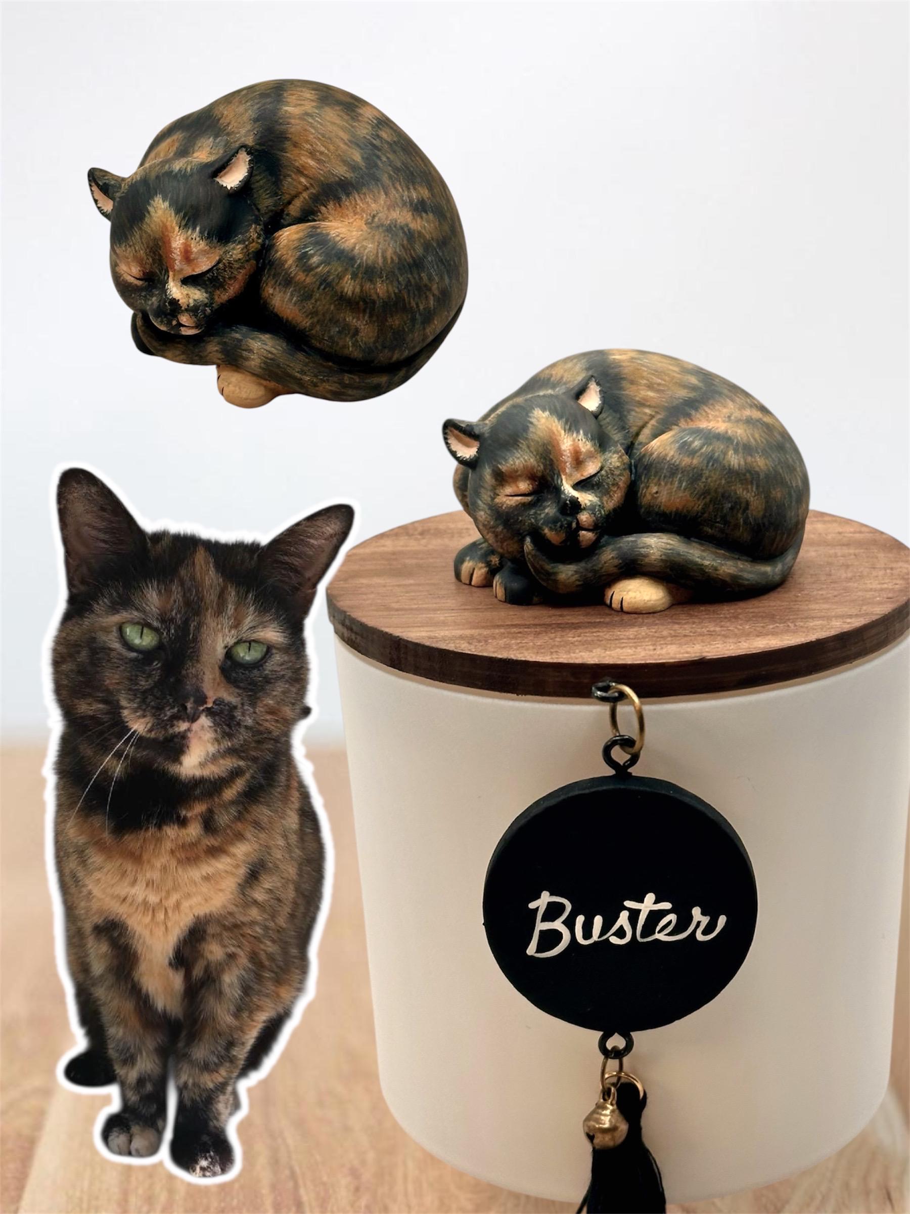 HISTORIAS DE GATOS: HIENITA – BLOG DE THEMIS…, image size:1800x2400