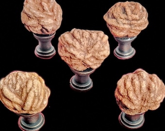 Oklahoma Rose Rock Bronze Knob Set - Add Rustic Charm to your DIY Project!