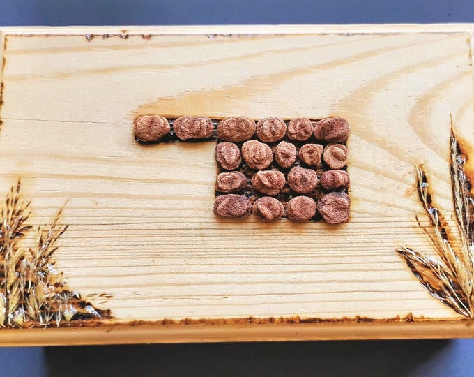 Oklahoma Prairie Rose Rock Trinket Box with Natural Barite Roses