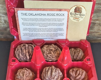 Oklahoma Rose Rocks: Carton of 6 Natural Barite Rosette Minerals