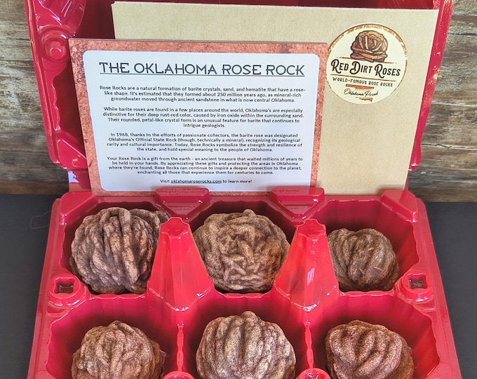 Oklahoma Rose Rocks: Carton of 6 Natural Barite Rosette Minerals