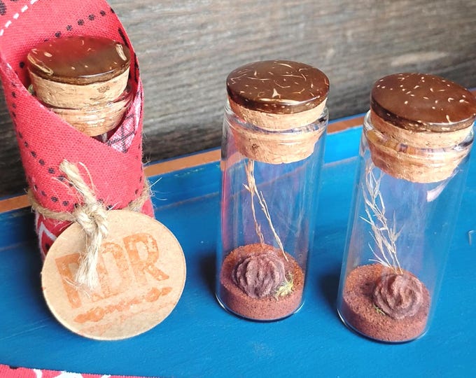 Mini Oklahoma in a Bottle: Barite Rose Rock Keepsake