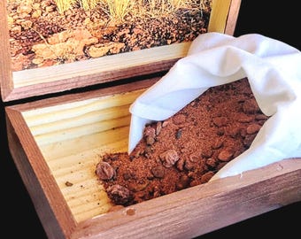 Mini Oklahoma Barite Rose Rock Dig Kit With Keepsake Box