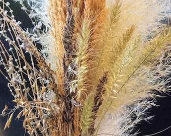 Mini Wild Harvested Oklahoma Prairie Grass Bunch