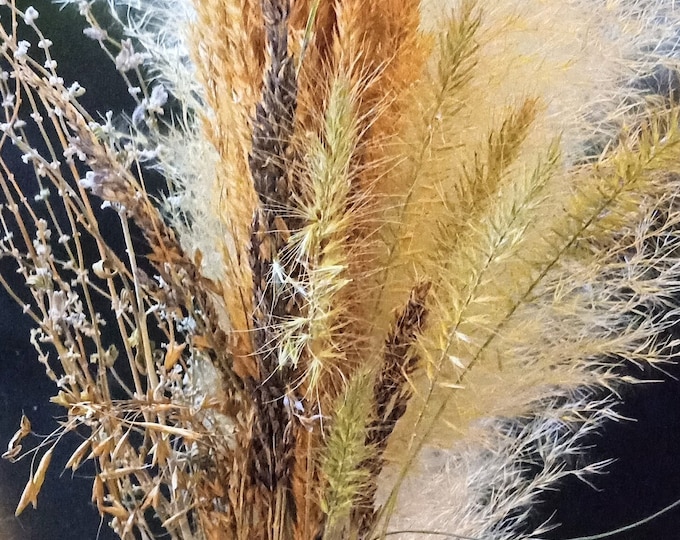 Mini Wild Harvested Oklahoma Prairie Grass Bunch
