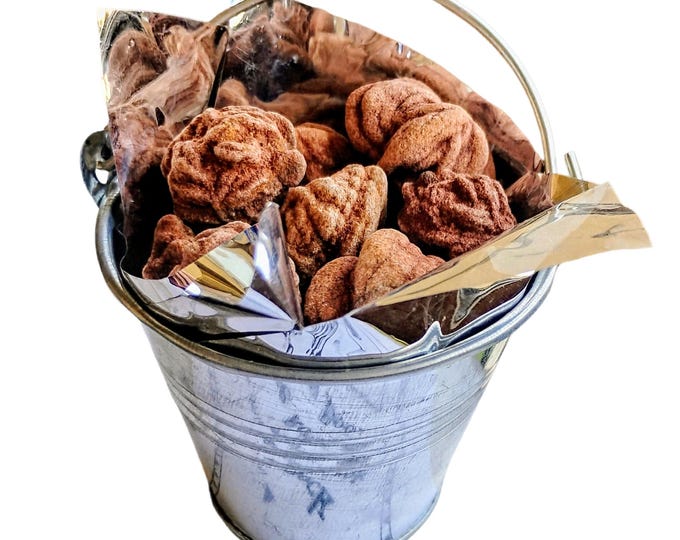 Mini Mystery Oklahoma Rose Rock Pail