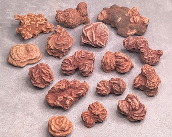 Oklahoma Barite Rose Rocks Collector Bag – Geology Collection Specimens