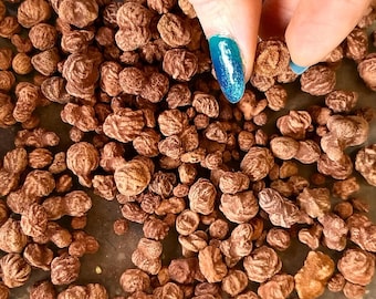 Mini Oklahoma Rose Rocks: 6 Unique and Natural Barite Rose Minerals