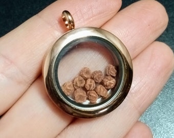 Micro Rose Rock Floating Locket Suede Necklace