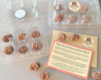 Oklahoma Rose Rocks: Carton of 6 Natural Barite Rosette Minerals