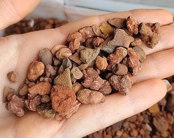 Natural Oklahoma Rose Rock Prospector Mix - Sandstone Concretion Pebbles with Micro Barite Mineral Formations